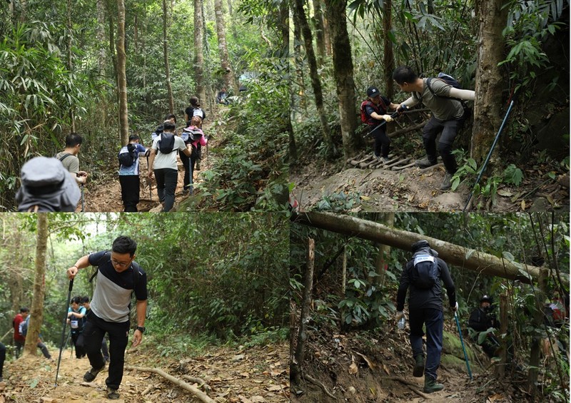 Thay vi teambuilding, Zalo cho nhan su nghi duong bang... trekking-Hinh-4