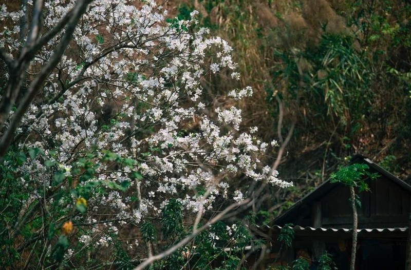 Ngay nghi 30/4 - 1/5, o mien Bac nen di dau choi?-Hinh-3