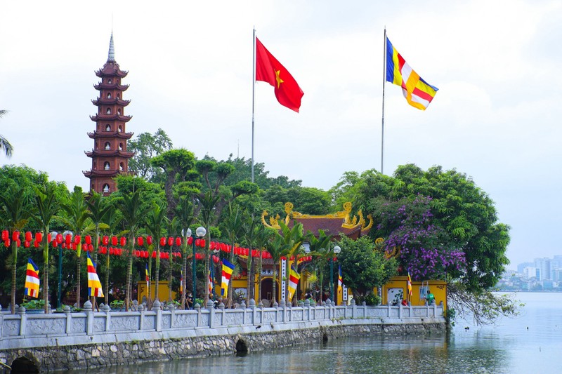 Ha Noi ruc ro mua hoa bang lang tim-Hinh-7