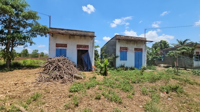 Hoang phi khu tai dinh cu Dak Lak-Hinh-3