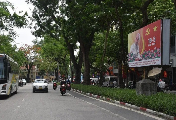 Ha Noi trang hoang co hoa ruc ro ky niem 134 nam ngay sinh Bac Ho-Hinh-5