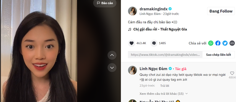 Linh Ngoc Dam hoa than co Tam, netizen duoc phen tram tro-Hinh-3