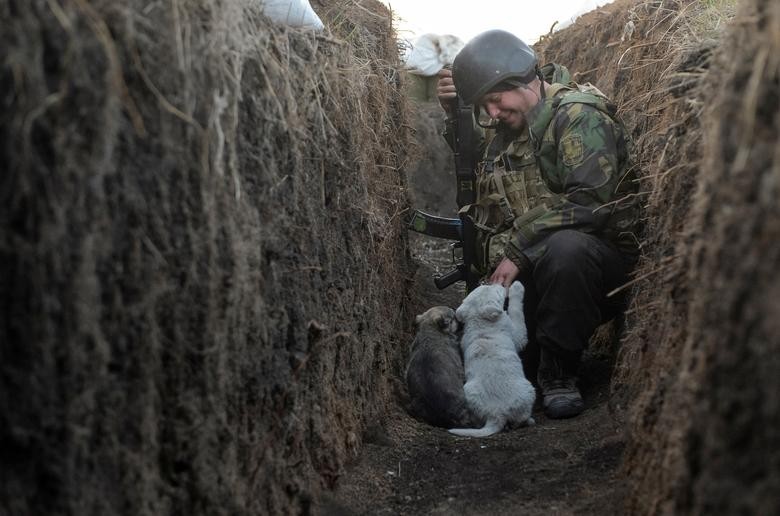 Quan doi Nga co sa lay trong “chien tranh chien hao” o Ukraine?-Hinh-9