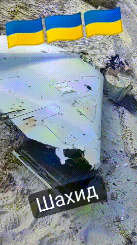 Ukraine soc khi mo UAV cua Nga, nhieu linh kien xuat xu tu My-Hinh-8