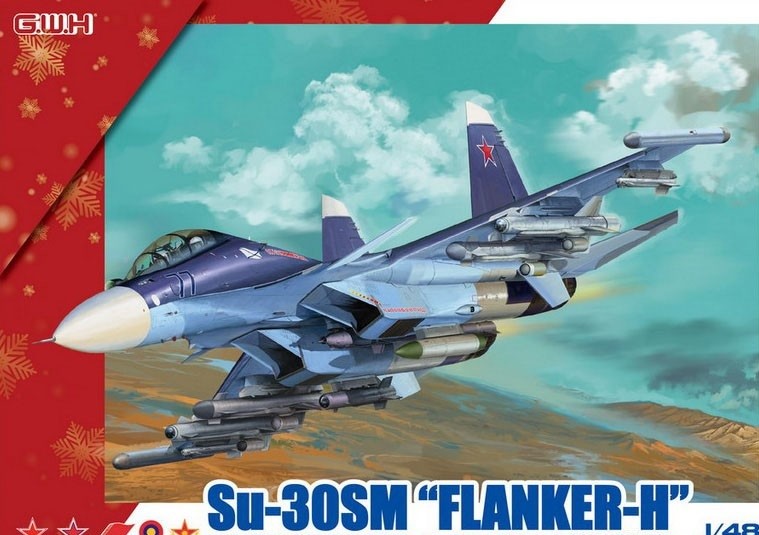 Dung Su-30SM san USV, co phai Nga “mang dao giet trau mo ga”?-Hinh-14