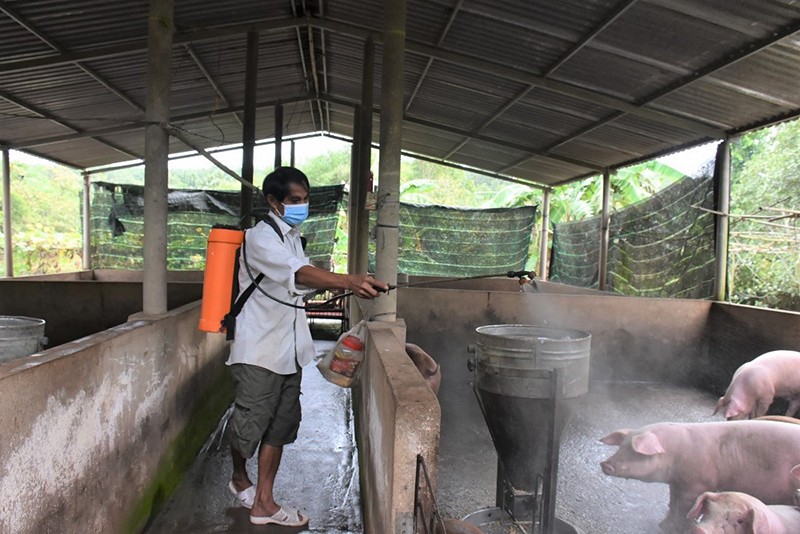 Ba Ria - Vung Tau: Duy tri 6 vung chan nuoi an toan dich benh