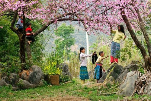 9 con duong hoa dep nhát Viẹt Nam, say long gioi tre-Hinh-4