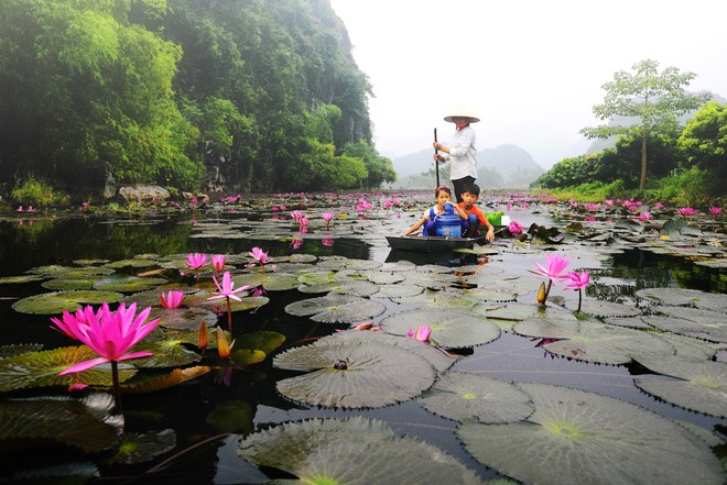 Nhũng diẻm du xuan tuyẹt nhát dip dau nam