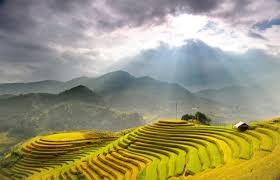 Ruong bac thang Mu Cang Chai dep me hon, gioi tre “ho” nhau len duong-Hinh-10