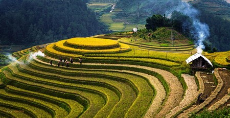 Ruong bac thang Mu Cang Chai dep me hon, gioi tre “ho” nhau len duong-Hinh-5