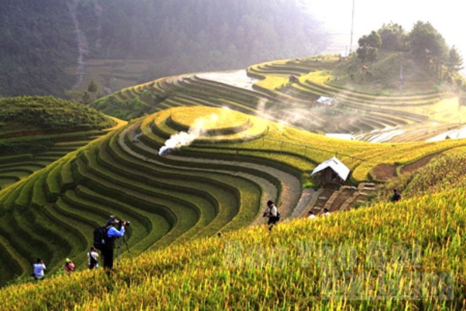 Ruong bac thang Mu Cang Chai dep me hon, gioi tre “ho” nhau len duong-Hinh-6