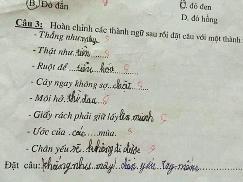 Hoc sinh tieu hoc tu che thanh ngu, co giao 