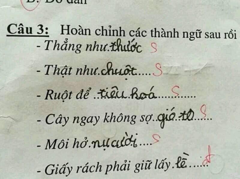 Hoc sinh tieu hoc tu che thanh ngu, co giao 