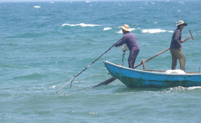 Quang Ngai: Ngu dan di cao “loc bien” nua ngay da kiem ca chi vang-Hinh-4