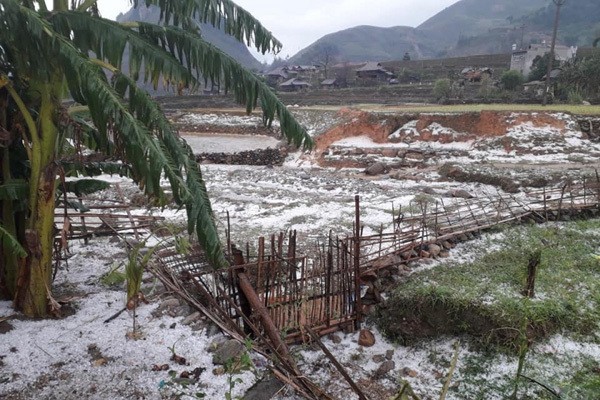 Don gio mua dong bac, Bac Bo de phong giong loc va mua da