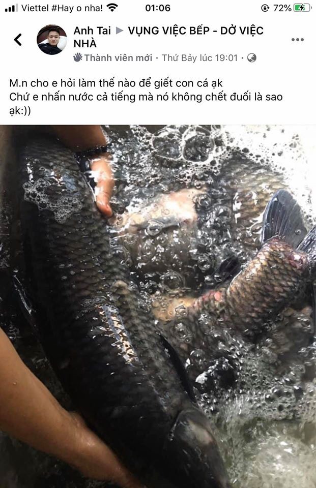 Dan mang Viet khoe tai nau nuong tham hoa nhin thoi muon bo bua-Hinh-3