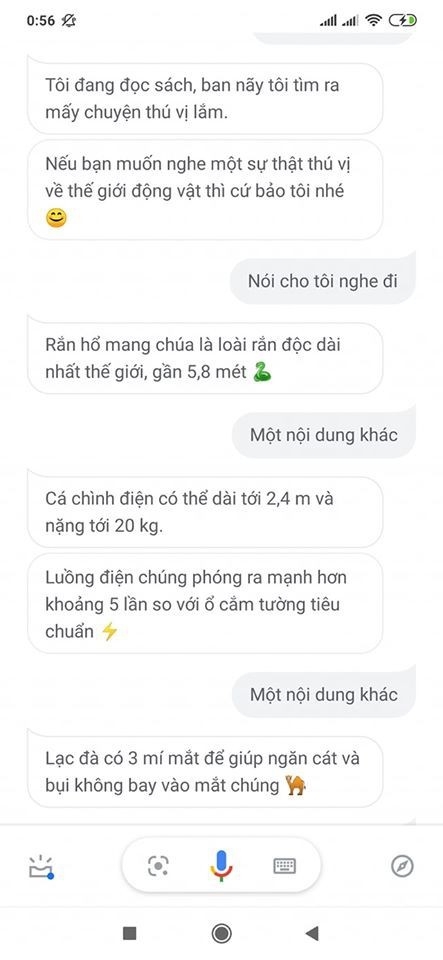 Nhung cau hoi cua dan tinh khien chi Google dau dau tra loi-Hinh-9