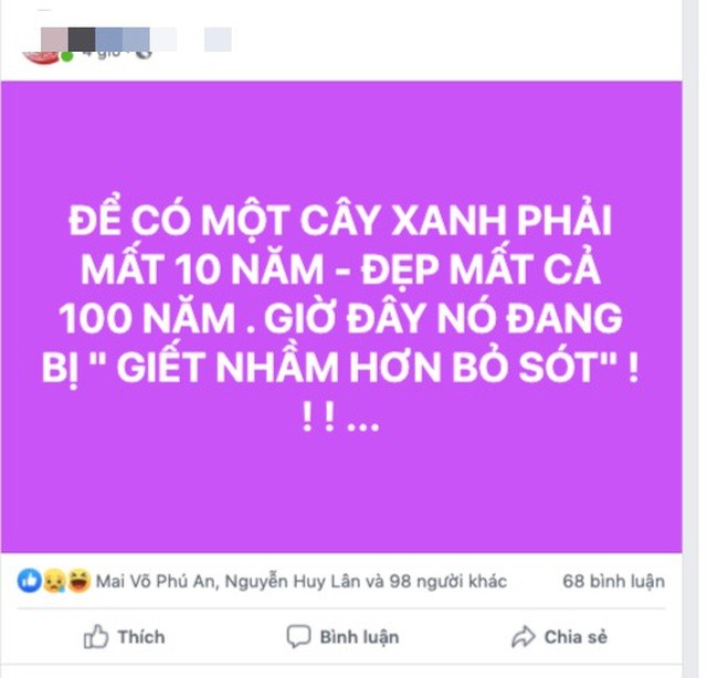 Bat goc de chet hoc sinh, cay phuong bi don bo dan mang noi gi?-Hinh-4