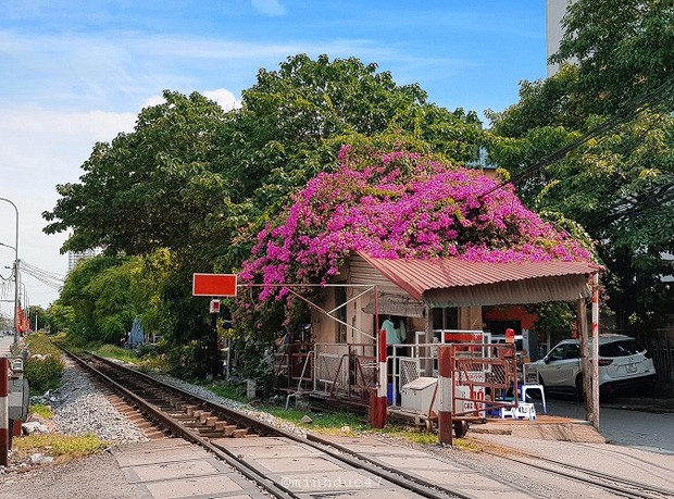 Muon chup hoa giay dep lim tim tai Ha Noi gioi tre nen den dau?-Hinh-4