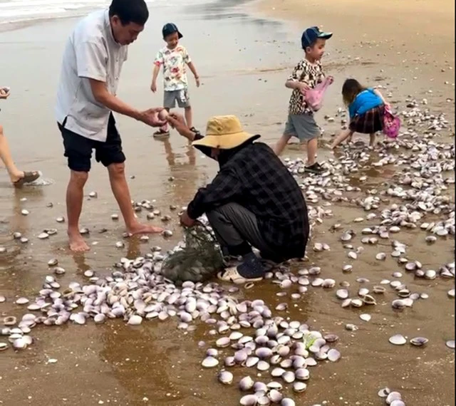 Hang tan ngao tim dat bo, netizen hai huoc bay cach giai quyet-Hinh-6