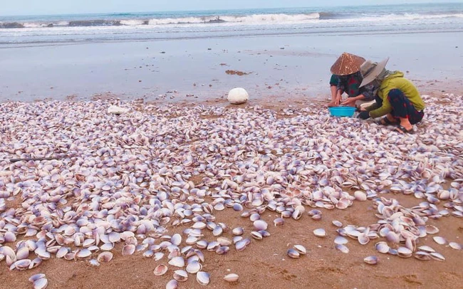 Hang tan ngao tim dat bo, netizen hai huoc bay cach giai quyet-Hinh-7