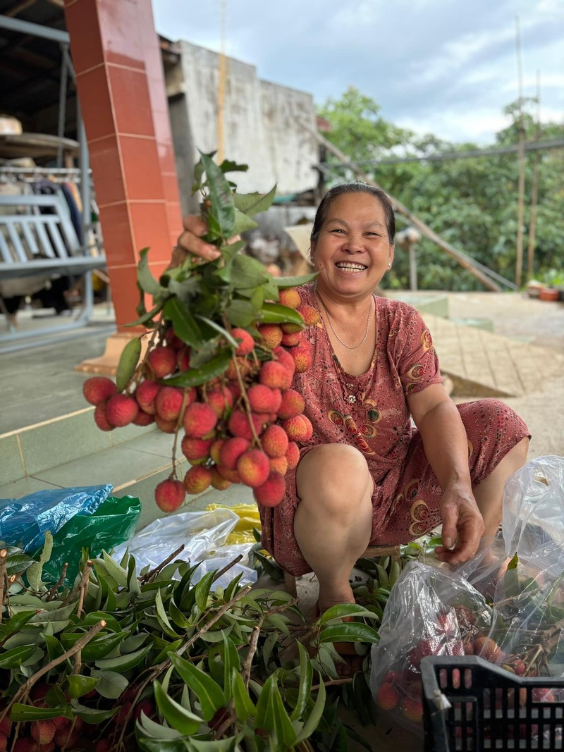 Sung sot truoc cay vai doc nhat vo nhi o xom nui D’ran-Hinh-5