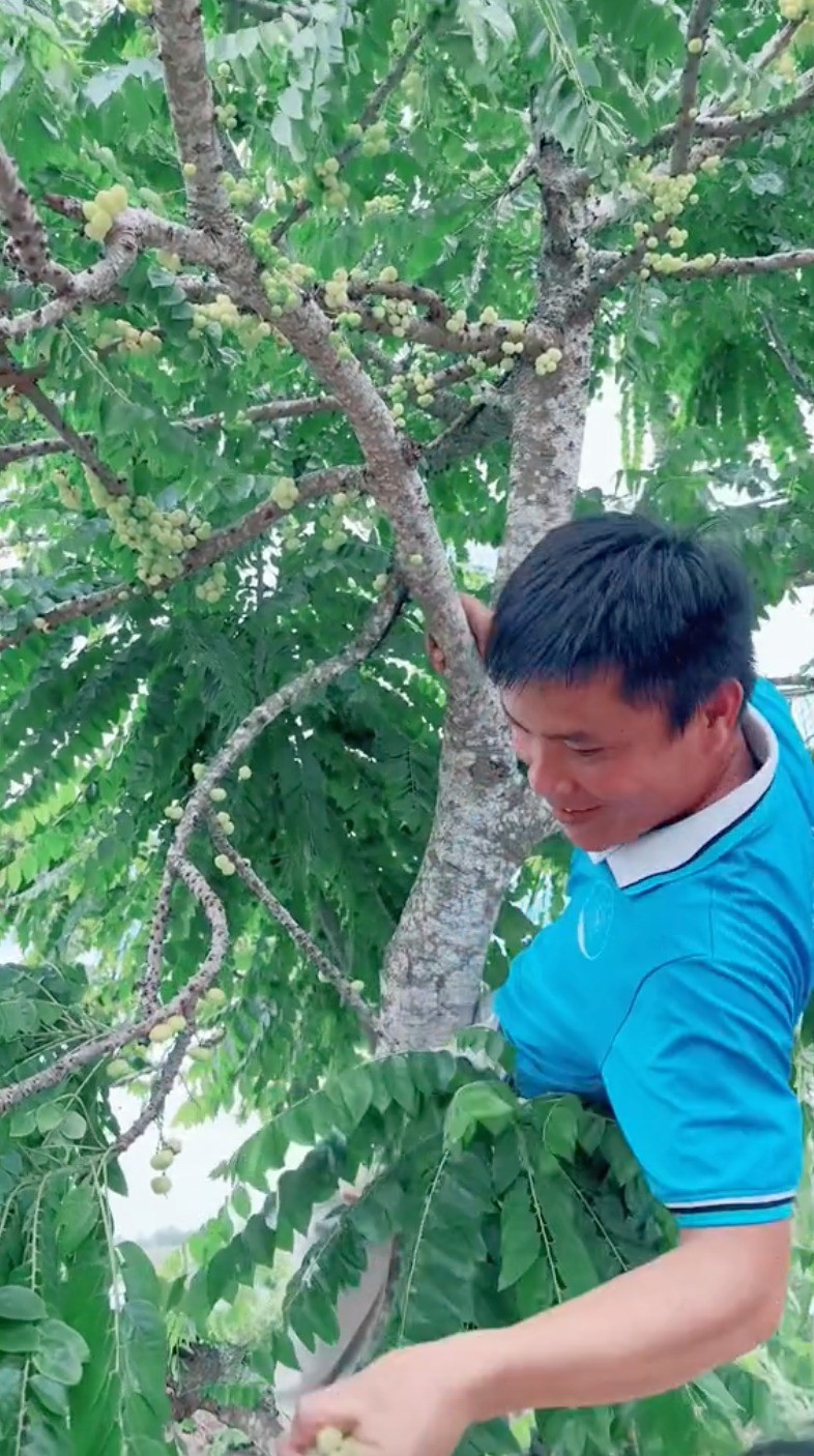 Quang Linh Vlog trai nghiem an thu loai qua “chua nhat Viet Nam“-Hinh-2