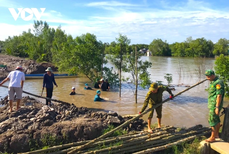 Sat lo nghiem trong, song bien Ca Mau “keu cuu”-Hinh-3