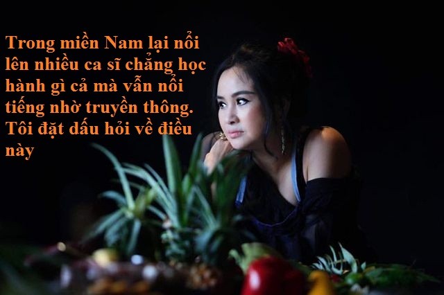 Truoc Luu Thien Huong, nhieu sao Viet va mieng bi du luan “nem da“-Hinh-6
