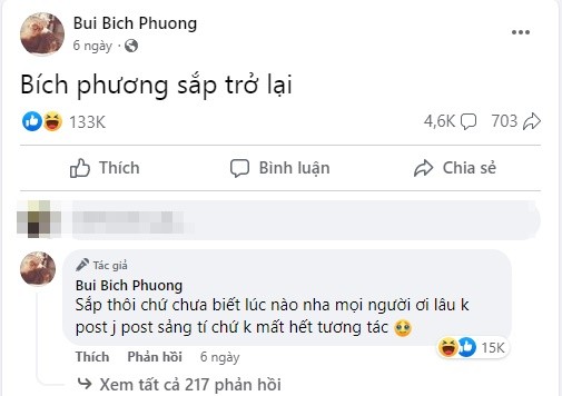 Bich Phuong tai xuat voi nhan sac khac la-Hinh-6