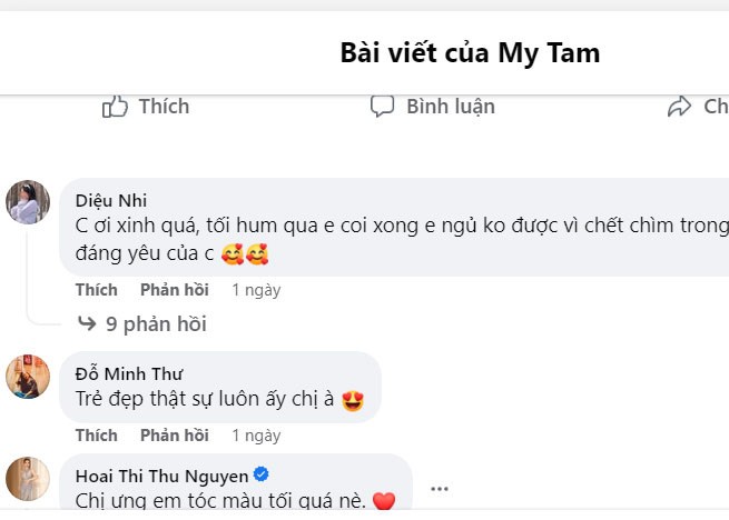 My Tam khoe anh xinh, Dam Vinh Hung noi mot cau gay sot-Hinh-2
