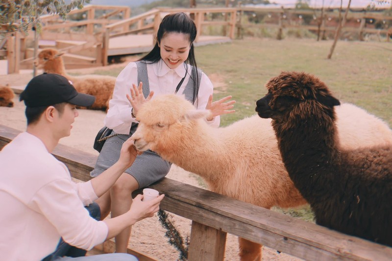 Hon nhan cua MC Thuy Linh VTV va chong dien vien kem tuoi-Hinh-6