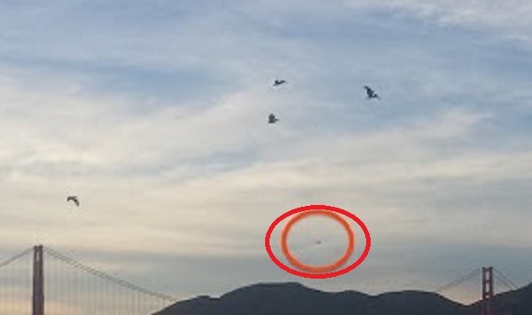 Xon xao UFO luon qua cau Golden Gate noi tieng cua My-Hinh-3