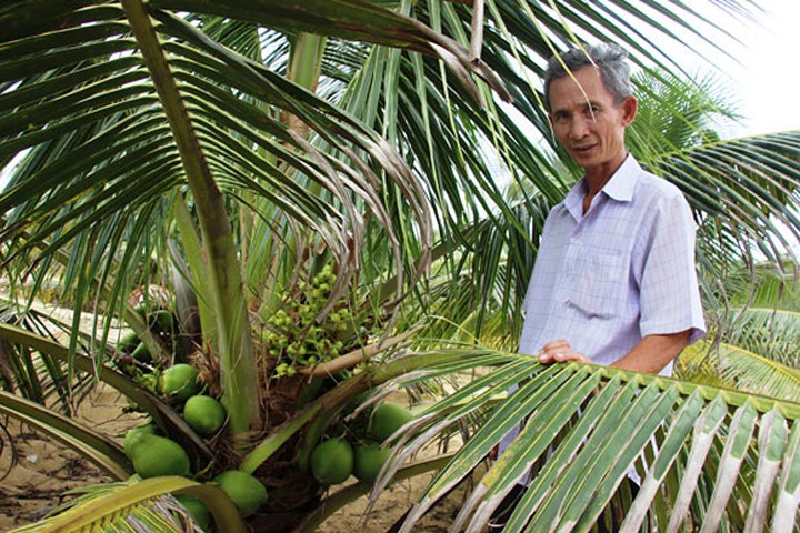 Choang voi nhung dieu bat ngo ve cay dua xiem-Hinh-5