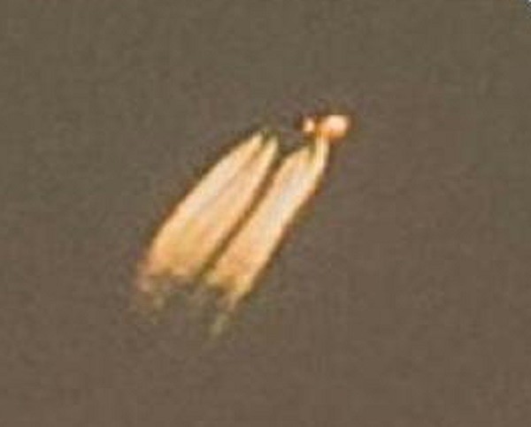 Bi an quanh vat the nghi UFO xuat hien tren bai bien Sydney-Hinh-4