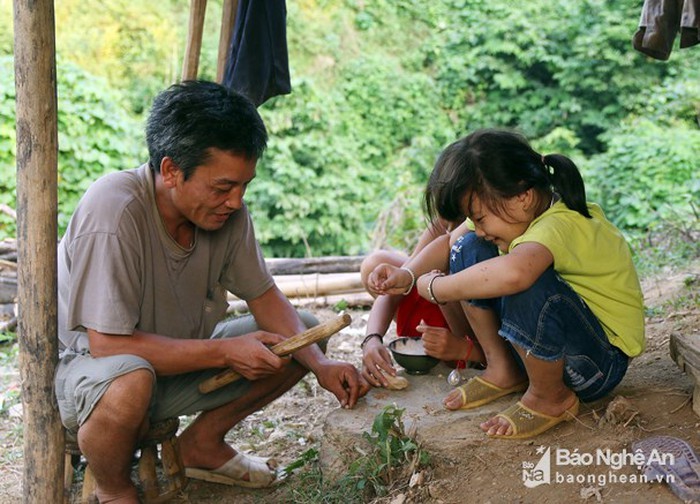 Kham pha thu vi cay cha uom, dac san Nghe An-Hinh-7