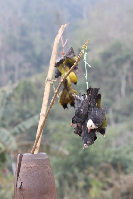 Nhung hinh anh dong vat am anh, khien ai cung phai nghi-Hinh-7