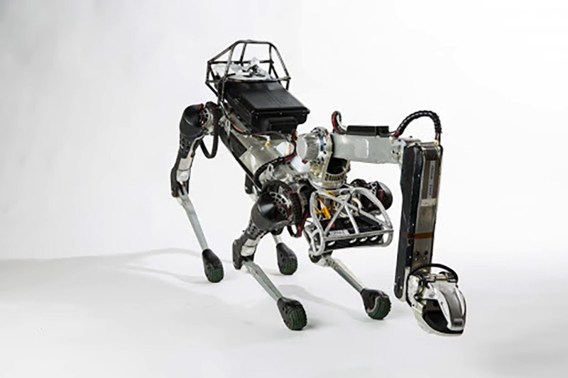 Can canh robot mang hinh thu “thu cung” co the lam viec nha-Hinh-2