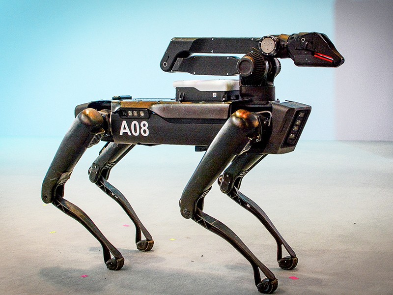 Can canh robot mang hinh thu “thu cung” co the lam viec nha-Hinh-8