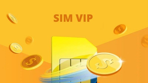 Duong di “lan dan” cua nhung sieu sim VIP nhat Viet Nam-Hinh-4