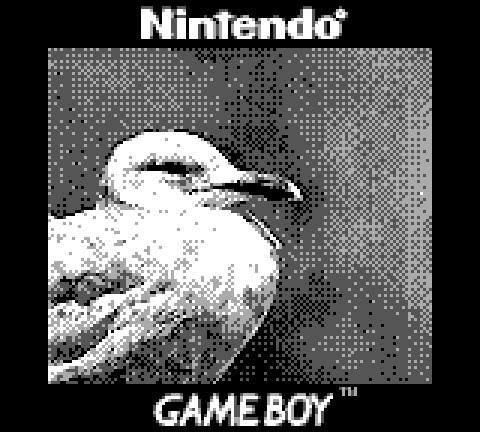 Game Boy co lo si bat ngo “hoa than” thanh may anh den trang hien dai-Hinh-9