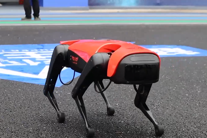 Nuoi Pet robot khien cuoc song tro nen 