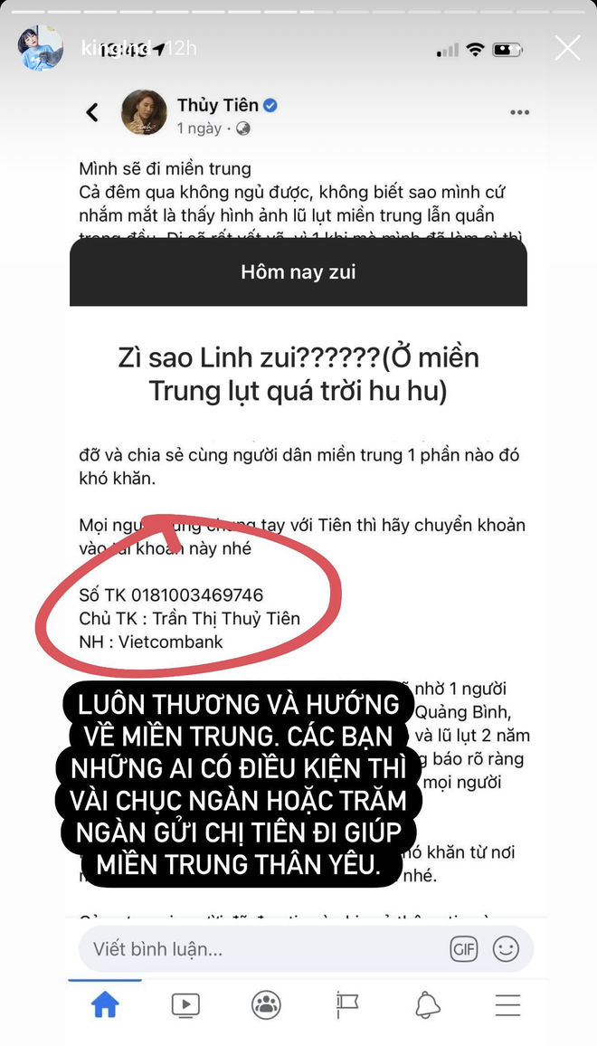 Linh Ngoc Dam bi anti-fan ca khia khi keu goi ung ho mien Trung-Hinh-2