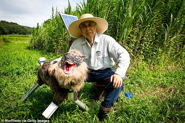 Robot “Quy soi” Nhat Ban ghe ron toi muc xua duoi ca thu du-Hinh-3