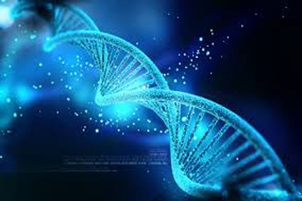 DNA va nhung cau chuyen bat ngo thu vi-Hinh-6