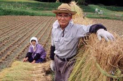 10 thoi quen lanh manh cua nguoi da song tren 100 tuoi-Hinh-5