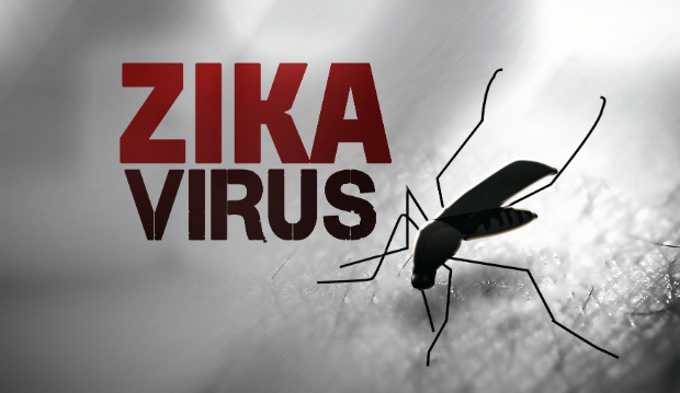Su dung hon 3.000 bo test Trioplex chong virus Zika