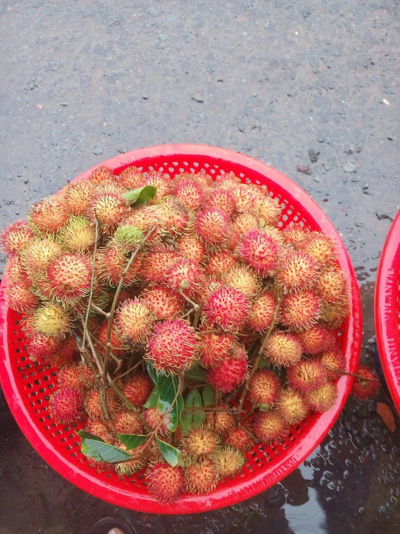 Nhieu nguoi an chom chom nhung khong biet nhung loi ich nay-Hinh-9