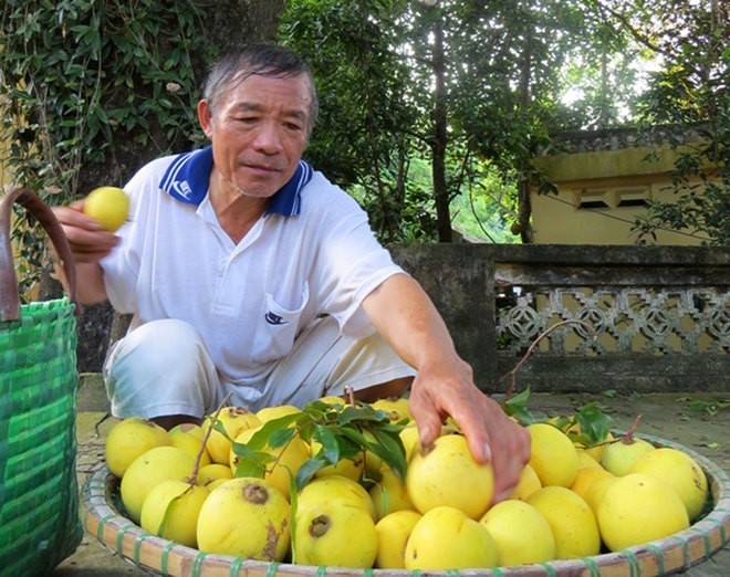 Nhung loi ich khong ngo cua qua thi-Hinh-9