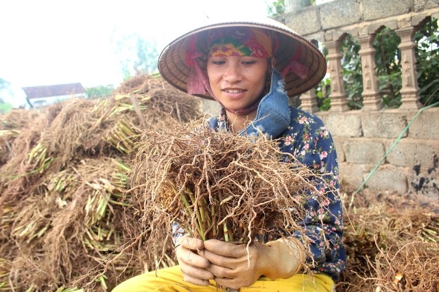 Nhung loai la nen co trong noi nuoc xong tam ngay cuoi nam-Hinh-9